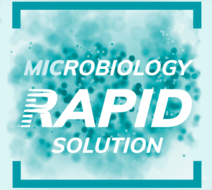 MIC_rapid_solutions